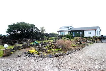 Bow House B Hotel Jeju South Korea